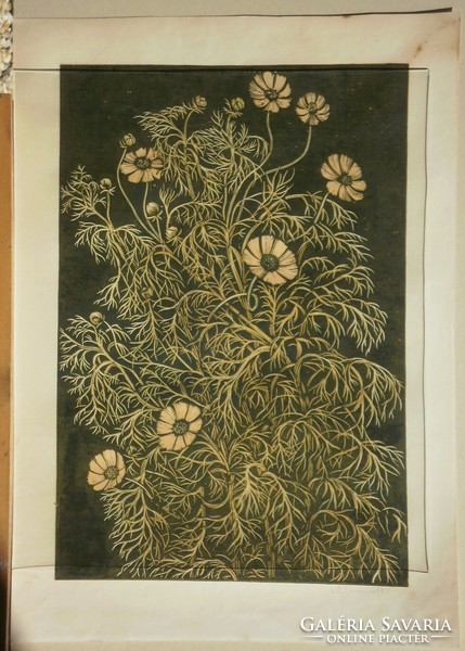András Németh (1941-): flower