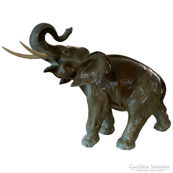 Royal Doux Elefánt M00564