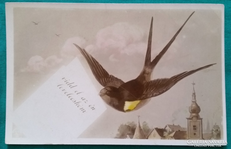Antik színezett üdvözlő képeslap