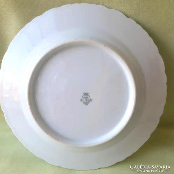 Antique czech cmp porcelain plate.