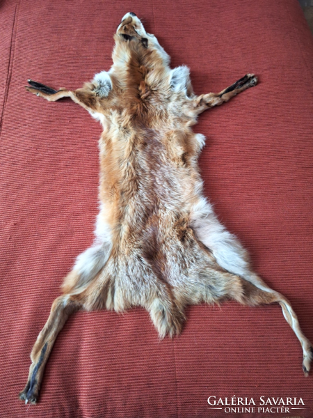 Hunter, fox fur, fox skin