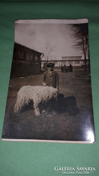 Antique Hungarian photo postcard of a little boy with his favorite komondor dog according to the pictures