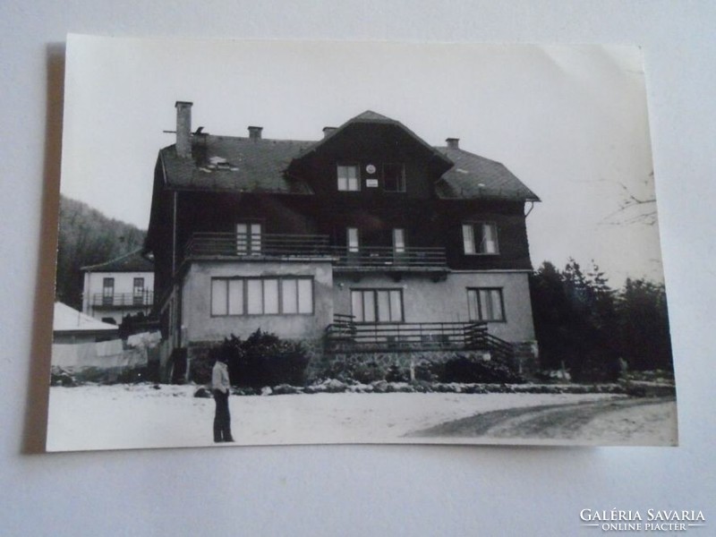 D202029 old photo lajos source - szentendre -turtista house 1959