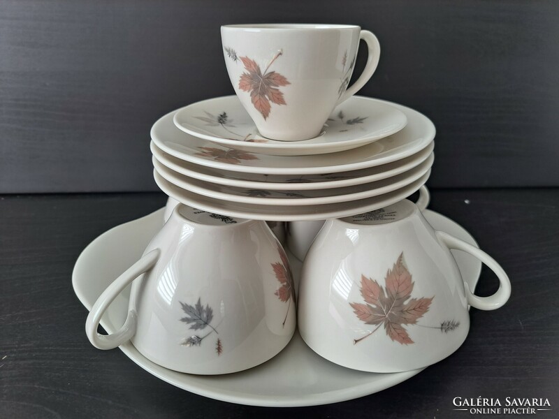 Royal Doulton Tumbling Leaves 4+1 -es porcelán teás-káves készlet