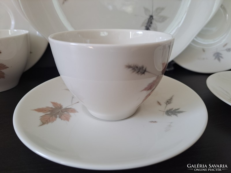Royal Doulton Tumbling Leaves 4+1 -es porcelán teás-káves készlet