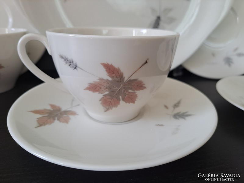 Royal Doulton Tumbling Leaves 4+1 -es porcelán teás-káves készlet