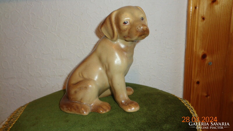 Labrador , kiskutya , jelzett  , 13 x 16 cm