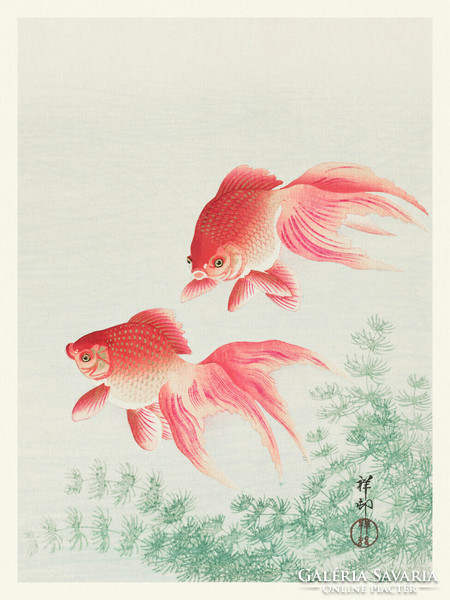Ohara koson: goldfish