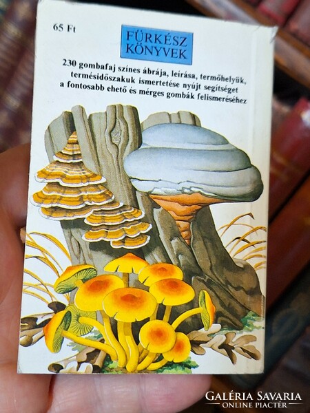 1982 Retro minibook-unread!-Mushrooms-explorer books