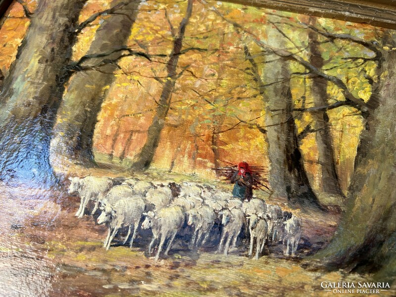 Gutaházy German gyula: with a flock in the forest