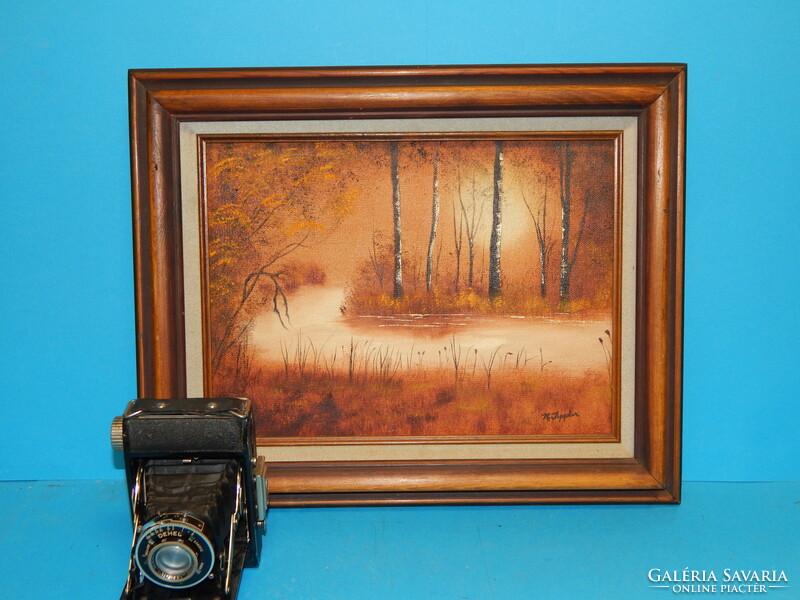 An excellent smaller frame with an external size of 32x40 cm and a gift painting