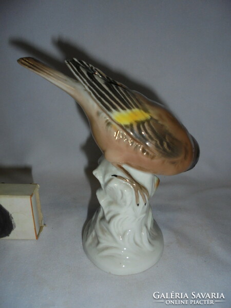 German unterweissbach porcelain bird