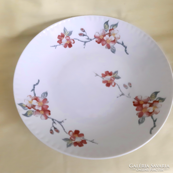 Antik! Porcelán mély tányér, kézzel festett, vadrózsa virágos mintával