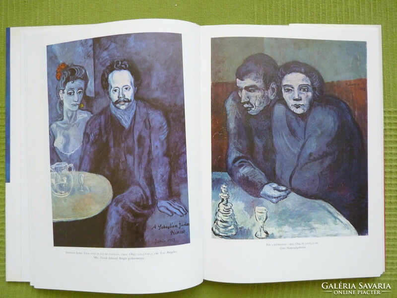 Denys chevalier : Picasso - kék és rózsaszín korszaka