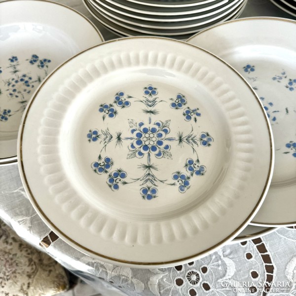 Retro Russian 31-piece dinnerware set from the 70s from the Soviet Union forget-me-not porcelain plate set