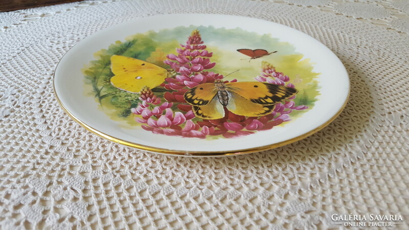 Csodaszép pillangós Royal Grafton porcelán tányér,falidísz