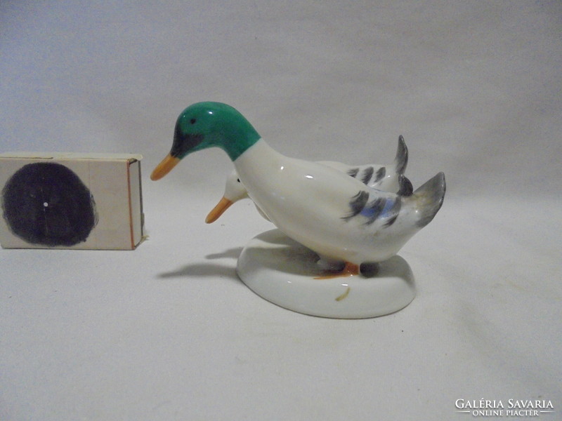 Pair of Aquincum porcelain duck figurines, nipp