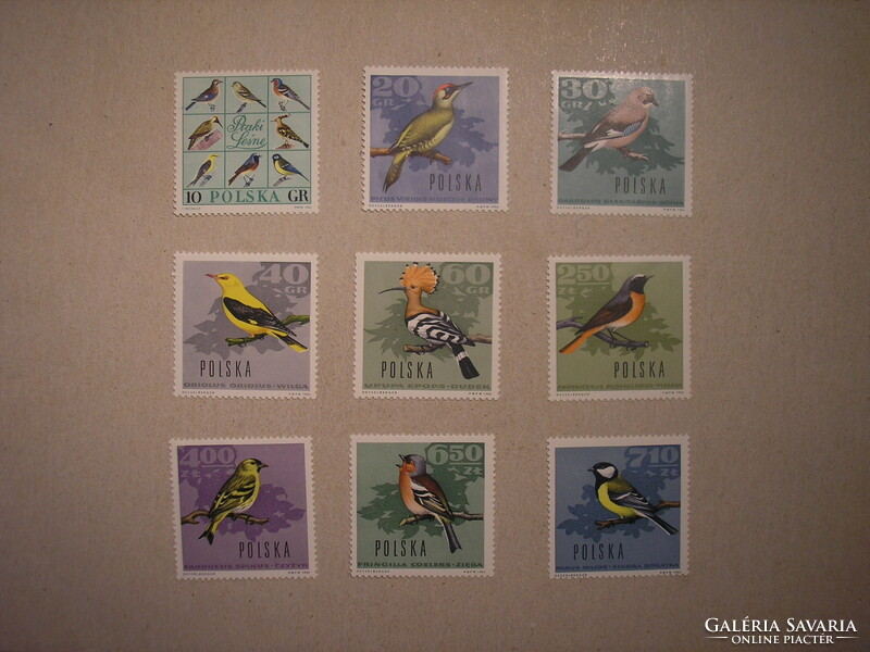 Poland - fauna, birds 1966