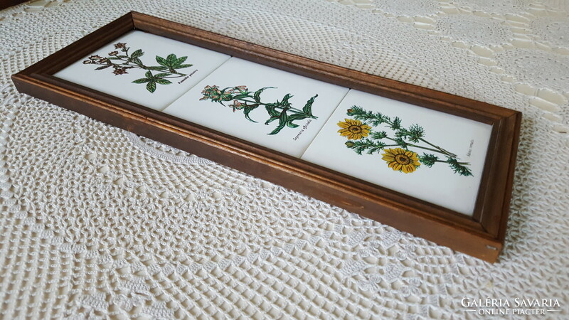 A framed tile image with a medicinal plant motif