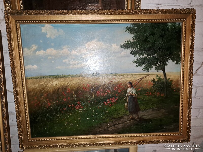 Gyula Zirkóczi's painting of a meadow with poppies