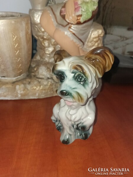 Romanian porcelain dog