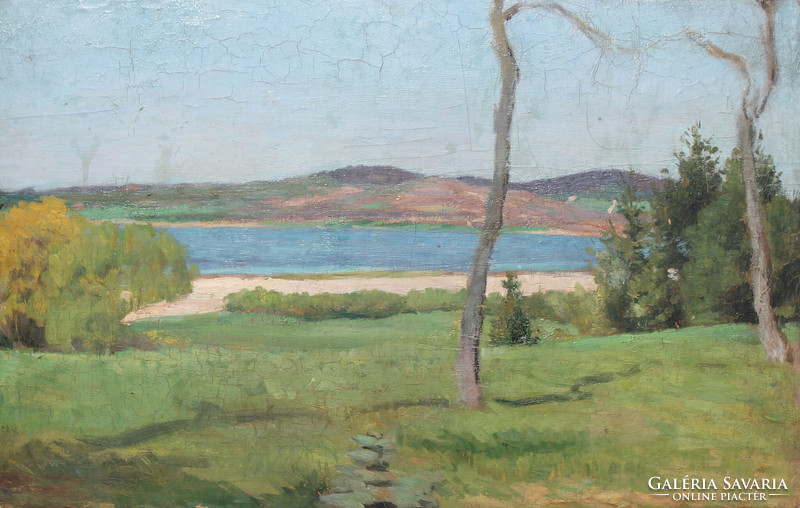 Nagybánya painter, xx. First half of the century: on a sunny waterfront