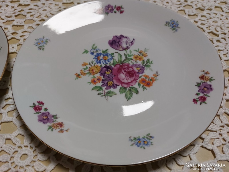 Mz-moritz zdekauer Czech /Czechoslovak/ rose-tulip porcelain 2 flat plates with gold edge