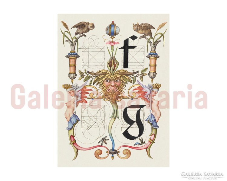 B betű gazdagon díszítve a 16. századból, a Mira Calligraphiae Monumenta alkotásból