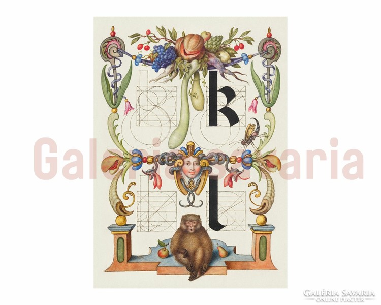 The letter is richly decorated from the 16th century, mira calligraphiae monumenta