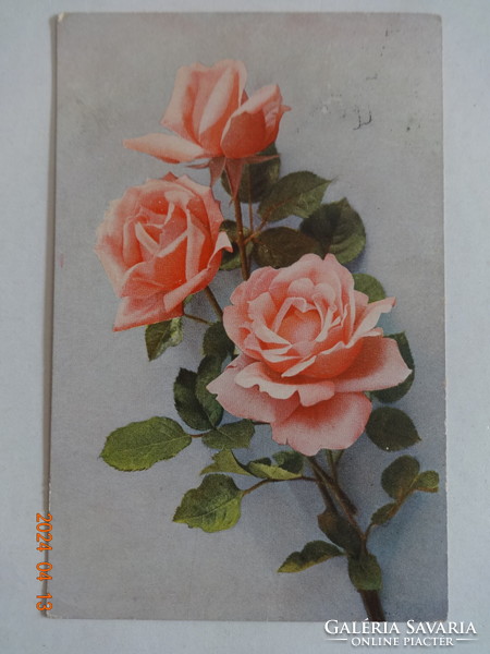 Régi, antik grafikus virágos üdvözlő képeslap, rózsacsokor  (1913)