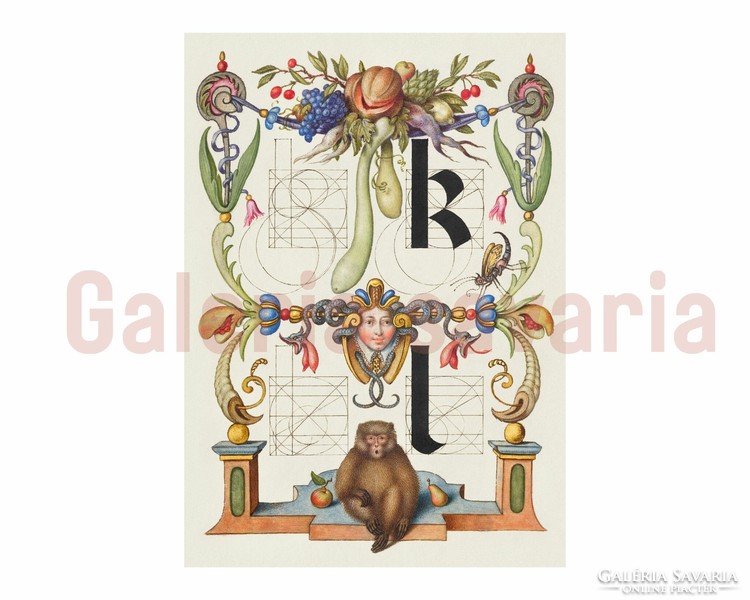 Letter M richly decorated from the 16th century, from the work mira calligraphiae monumenta