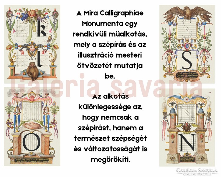 R betű gazdagon díszítve a 16. századból, a Mira Calligraphiae Monumenta alkotásból