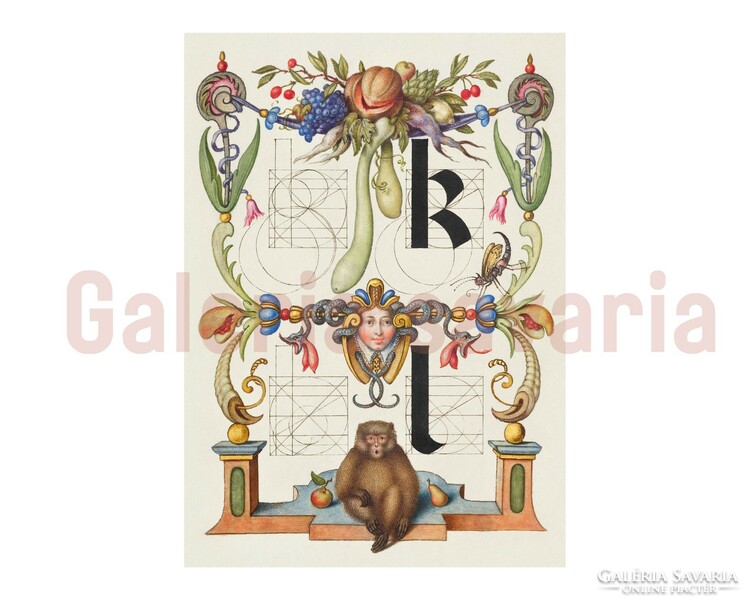 Letter L richly decorated from the 16th century, from the work mira calligraphiae monumenta