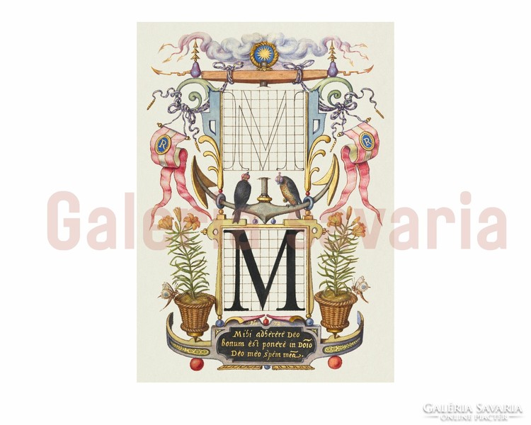S betű gazdagon díszítve a 16. századból  a Mira Calligraphiae Monumenta alkotásból