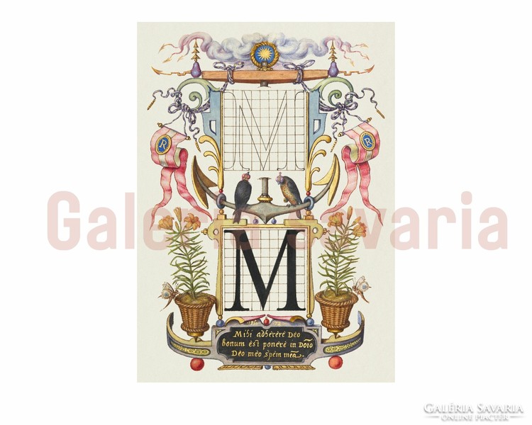 Letter M richly decorated from the 16th century, from the work mira calligraphiae monumenta