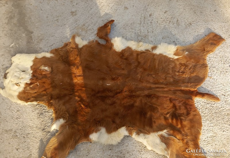 Rare calf leather fur rug art deco design