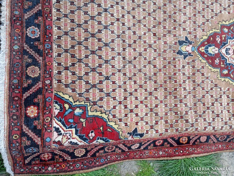 Oriental rug