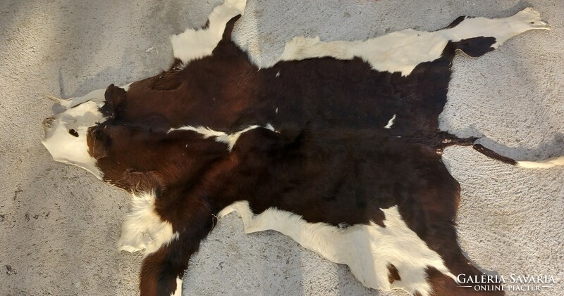 Rare calfskin rug with negotiable art deco design