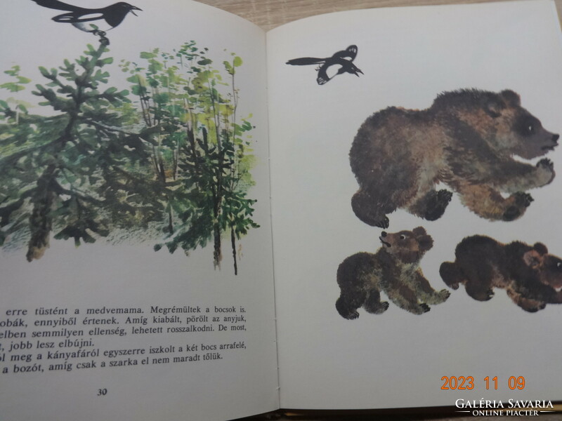 Yevgeny Tsharusin: Naughty Baby Animals - Animal Tales (1983)