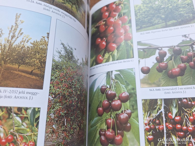 Knowledge and use of fruit varieties. HUF 9,900