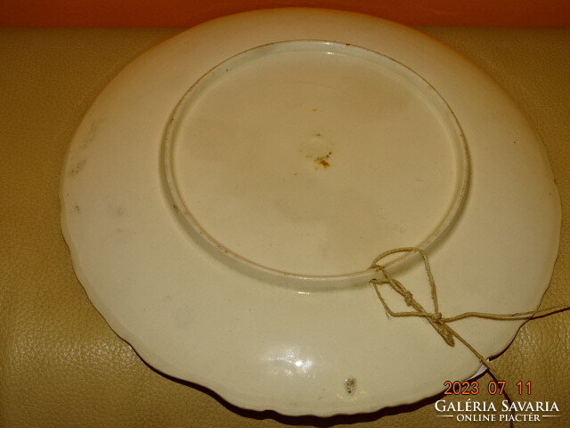 Antique Art Nouveau majolica decorative bowl wall plate decorative plate steidl znaim 27 cm !!!