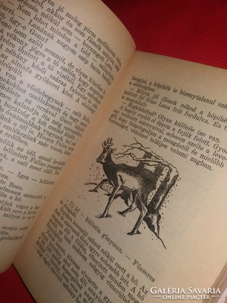 Antik felix salten: bambi's children's book according to the pictures pantheon edition