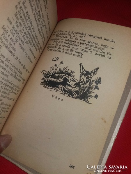 Antik Felix Salten: Bambi gyermekei könyv a képek szerint Pantheon Kiadás
