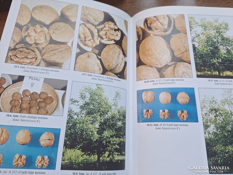 Knowledge and use of fruit varieties. HUF 9,900