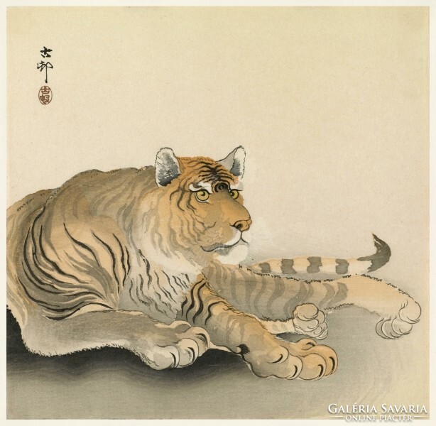 Ohara Koson: Tigris, japán fametszet, kitűnő minőségű reprint nyomat falikép