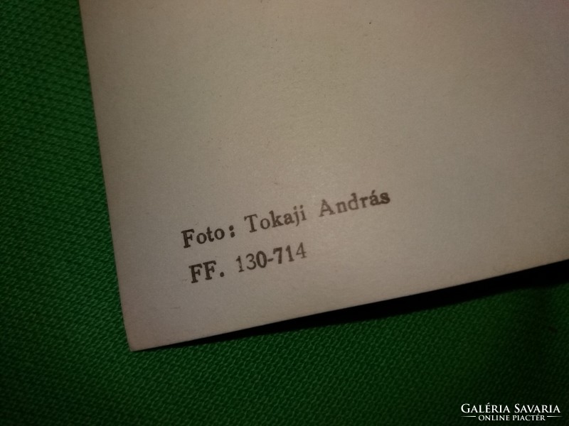 Régi Tokaji András fotó és a belőle készült képeslap Virágcsendélet a képek szerint
