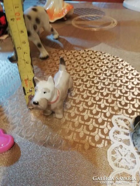 Antique porcelain foxi from 2 collections