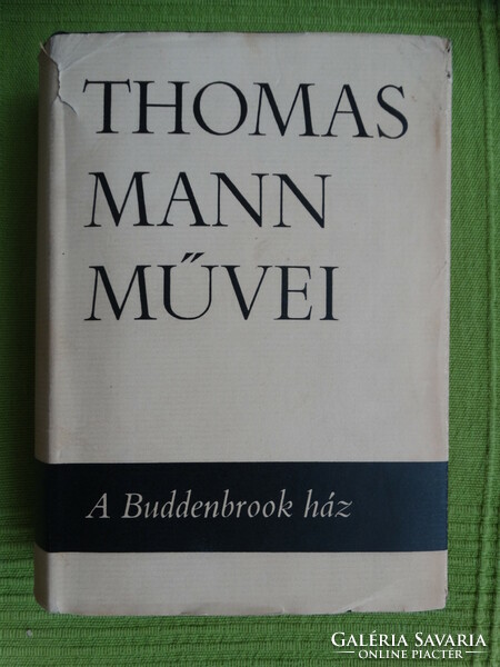 Thomas Mann : A Buddenbrook ház