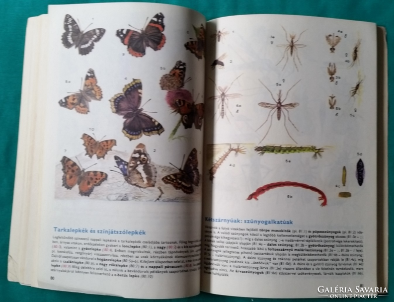 'Dr. Zoltán Varga: animal knowledge - natural science > animal world > textbook