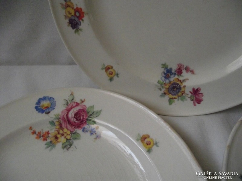 Antique plate with Dutch rose pattern